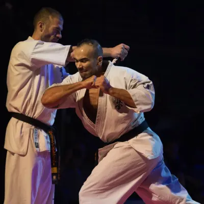 La nuit des Arts Martiaux 2016 — photo 63 sur 86