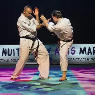 La nuit des Arts Martiaux 2016 — photo 69 sur 86
