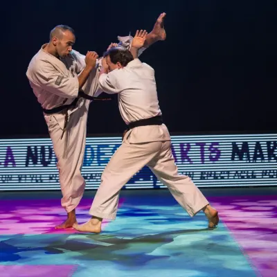 La nuit des Arts Martiaux 2016 — photo 70 sur 86