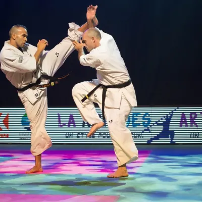 La nuit des Arts Martiaux 2016 — photo 75 sur 86
