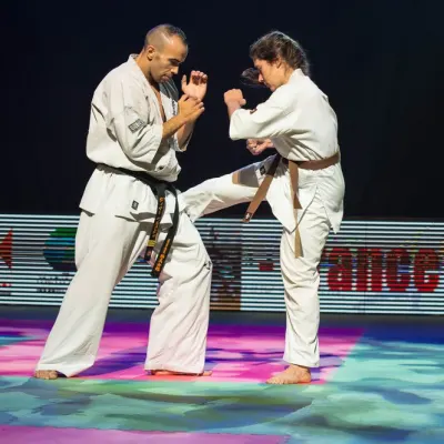 La nuit des Arts Martiaux 2016 — photo 76 sur 86