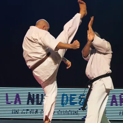 La nuit des Arts Martiaux 2016 — photo 80 sur 86