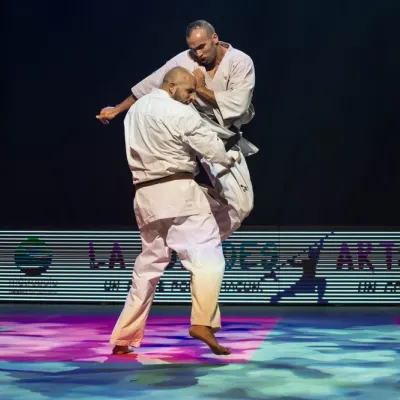 La nuit des Arts Martiaux 2016 — photo 81 sur 86