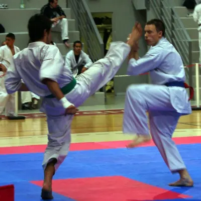 Open de Lyon 2011 — photo 15 sur 31