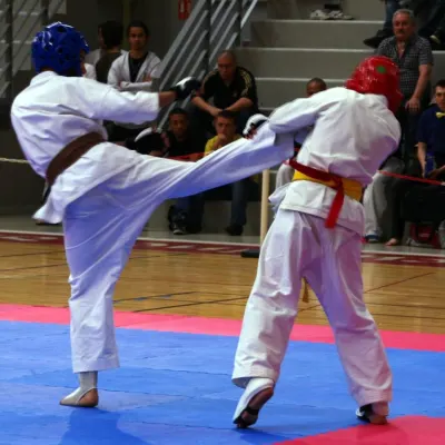 Open de Lyon 2011 — photo 18 sur 31