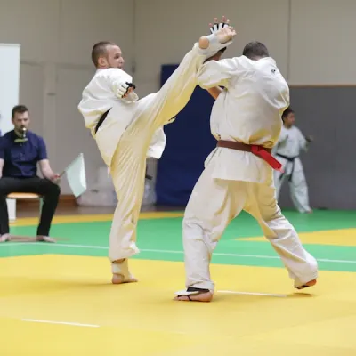 Open de Lyon 2013 — photo 11 sur 22