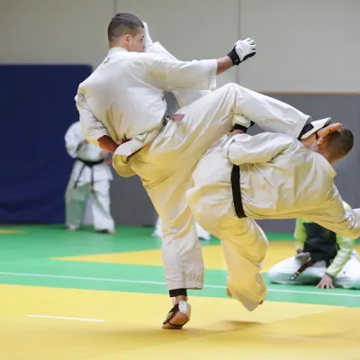 Open de Lyon 2013 — photo 12 sur 22
