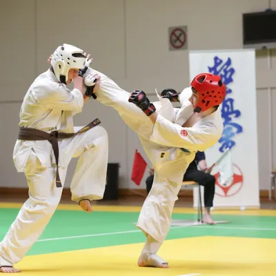 Open de Lyon 2013 — photo 14 sur 22