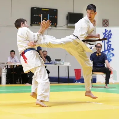 Open de Lyon 2013 — photo 18 sur 22