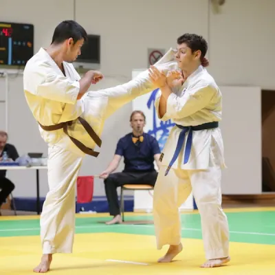 Open de Lyon 2013 — photo 19 sur 22