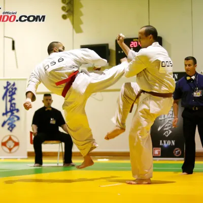 Open International de Lyon 2015 — photo 9 sur 115