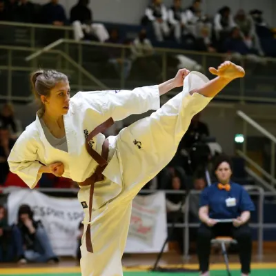 Open International de Lyon 2015 — photo 41 sur 115