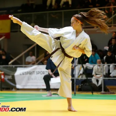 Open International de Lyon 2015 — photo 53 sur 115
