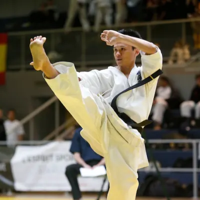 Open International de Lyon 2015 — photo 55 sur 115