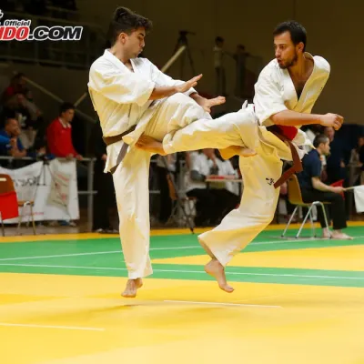 Open International de Lyon 2015 — photo 77 sur 115