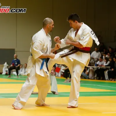 Open International de Lyon 2015 — photo 81 sur 115