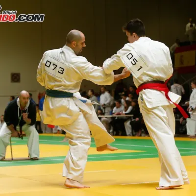 Open International de Lyon 2015 — photo 82 sur 115