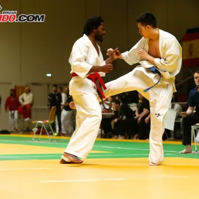 Open International de Lyon 2015 — photo 86 sur 115