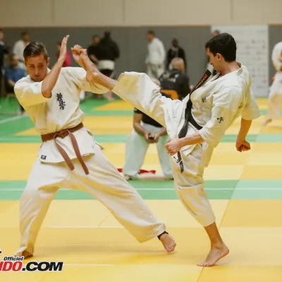 Open International de Lyon 2015 — photo 89 sur 115