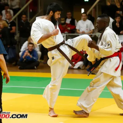 Open International de Lyon 2015 — photo 91 sur 115