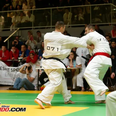Open International de Lyon 2015 — photo 94 sur 115