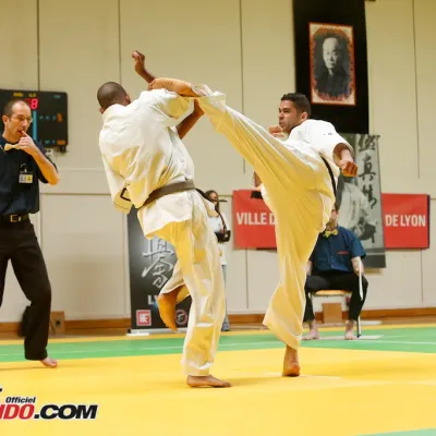 Open International de Lyon 2015 — photo 97 sur 115