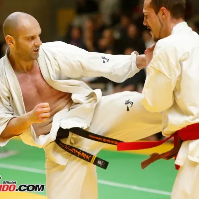 Open International de Lyon 2015 — photo 99 sur 115