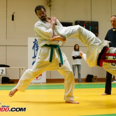 Open International de Lyon 2015 — photo 100 sur 115