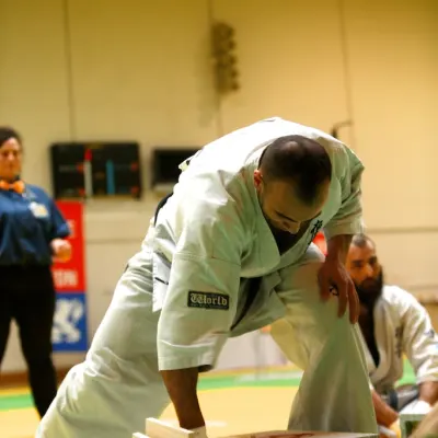 Open International de Lyon 2015 — photo 111 sur 115