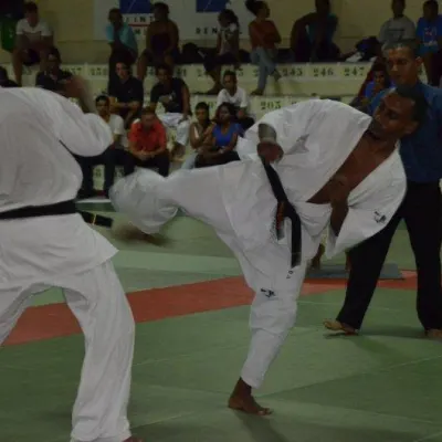Open Karate Kyokushinkai Dyonisien 2014 — photo 5 sur 17