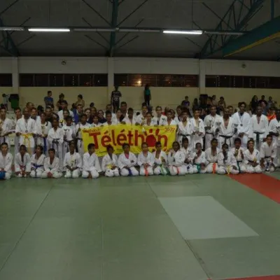 Open Karate Kyokushinkai Dyonisien 2014 — photo 9 sur 17