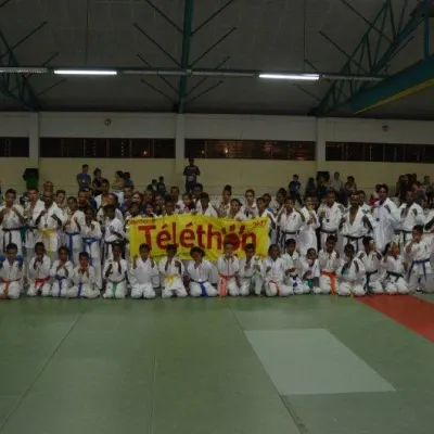 Open Karate Kyokushinkai Dyonisien 2014 — photo 10 sur 17