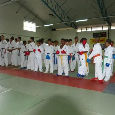 Open Karate Kyokushinkai Dyonisien 2014 — photo 11 sur 17