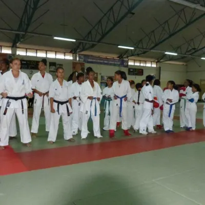 Open Karate Kyokushinkai Dyonisien 2014 — photo 12 sur 17