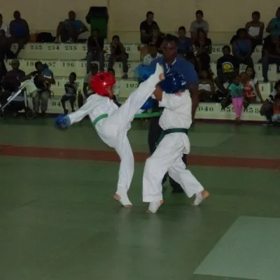 Open Karate Kyokushinkai Dyonisien 2014 — photo 14 sur 17
