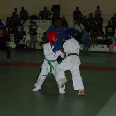 Open Karate Kyokushinkai Dyonisien 2014 — photo 15 sur 17