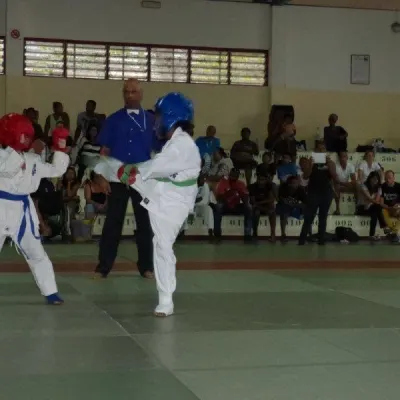 Open Karate Kyokushinkai Dyonisien 2014 — photo 16 sur 17