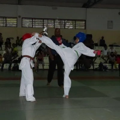 Open Karate Kyokushinkai Dyonisien 2014 — photo 17 sur 17