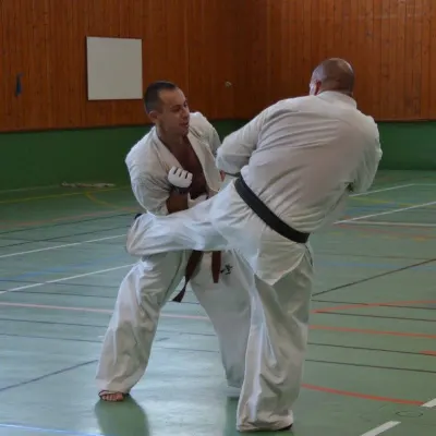 Passage de grades zone sud 2015 — photo 2 sur 120