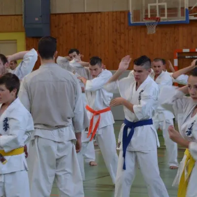 Passage de grades zone sud 2015 — photo 6 sur 120