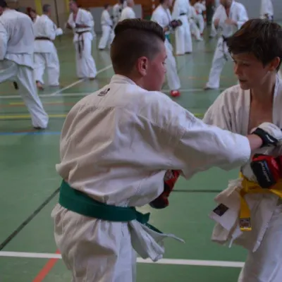 Passage de grades zone sud 2015 — photo 7 sur 120