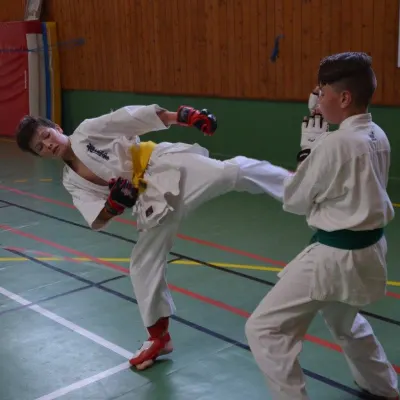 Passage de grades zone sud 2015 — photo 8 sur 120
