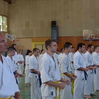Passage de grades zone sud 2015 — photo 9 sur 120