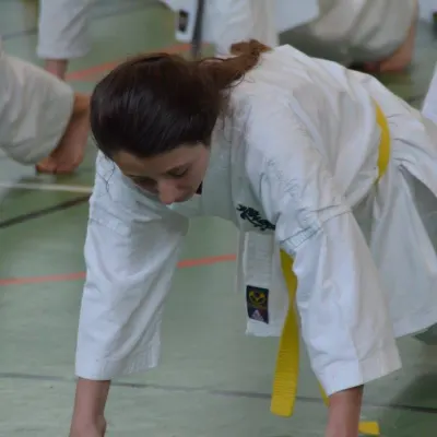 Passage de grades zone sud 2015 — photo 11 sur 120