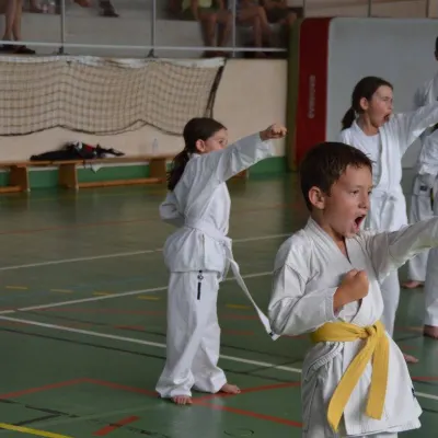Passage de grades zone sud 2015 — photo 13 sur 120