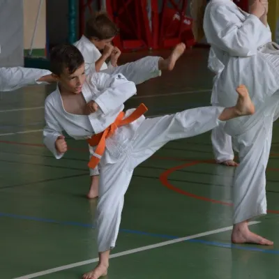 Passage de grades zone sud 2015 — photo 18 sur 120