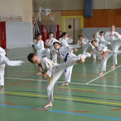Passage de grades zone sud 2015 — photo 20 sur 120