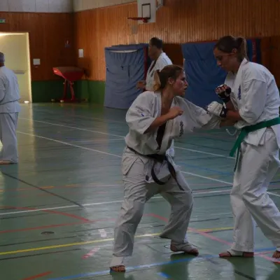 Passage de grades zone sud 2015 — photo 22 sur 120