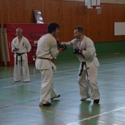 Passage de grades zone sud 2015 — photo 23 sur 120