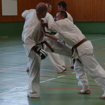 Passage de grades zone sud 2015 — photo 27 sur 120